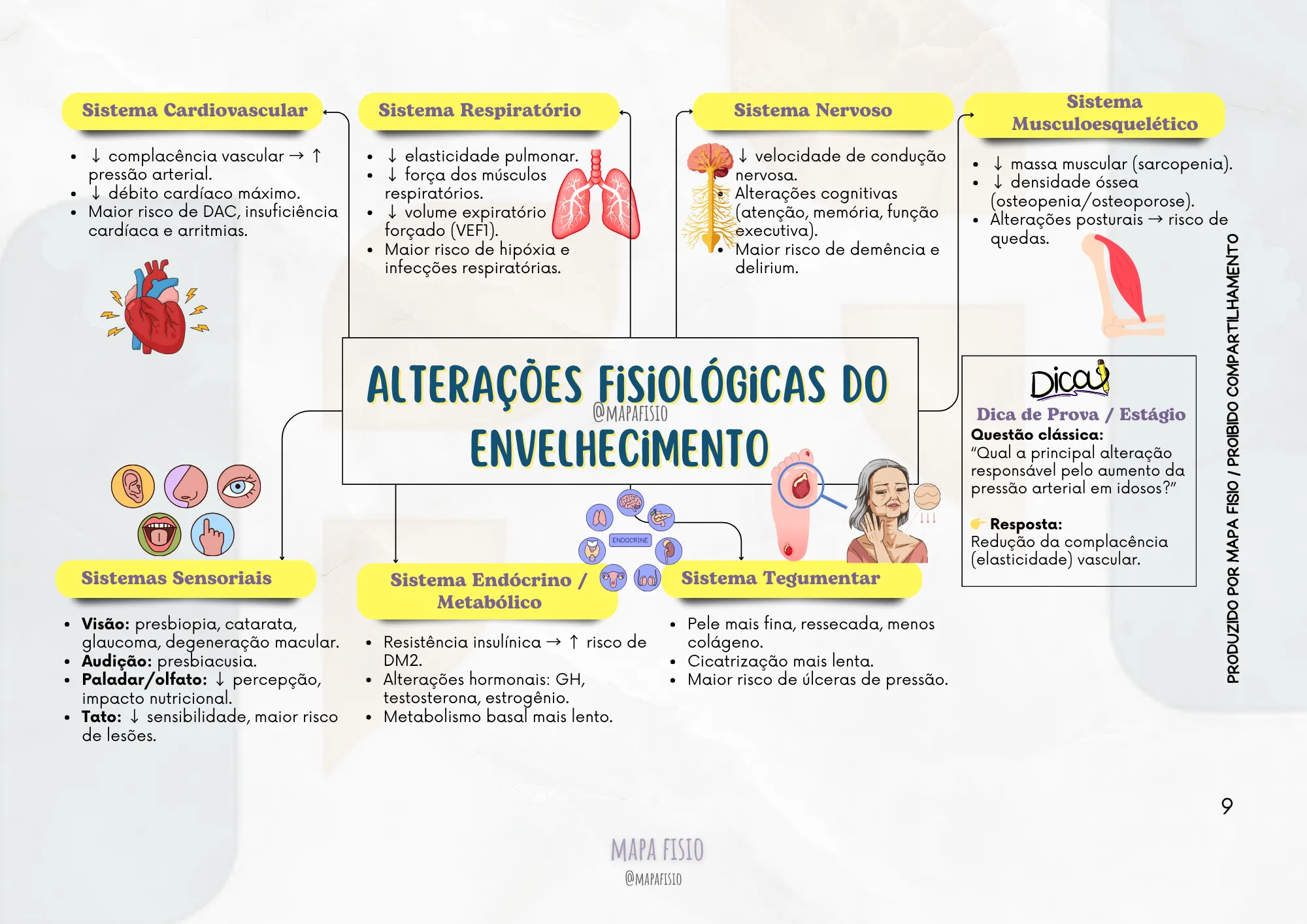 Alterações do envelhecimento mapa mental